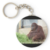 Orangutan Portrait Key Chain