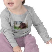 Orangutan Portrait Tee Shirts