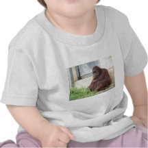 Orangutan Portrait Tshirts