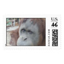Orangutan postage