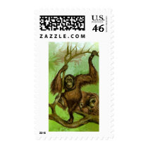 Orangutan Postage Stamp