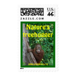 Orangutan postage stamp #3
