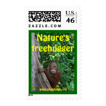 Orangutan postage stamp #3 by Rebecca_Reeder Orangutan postage stamp #3