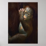 the hangover poster customize template orangutan hangover poster zazzle the hangover poster customize template orangutan hangover poster zazzle