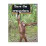Orangutan Protest Sign Postcard