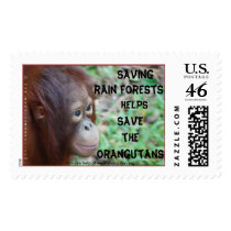 Orangutan / Rain Forest Postage Stamp #2 - Large