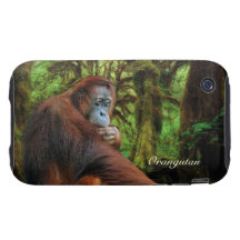 Orangutan & Rainforest Wildlife iPhone 4 Case