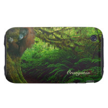 Orangutan & Rainforest Wildlife iPhone 4 Case