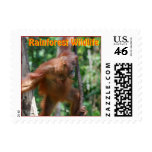 Orangutan Rainforest Wildlife stamps