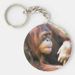 Orangutan Reclining Keychain