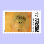 Orangutan Rescue Stamp stamps