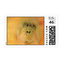 Orangutan Rescue Stamp