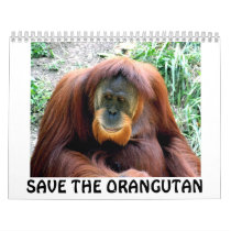 orangutan, SAVE THE ORANGUTAN calendars by brandfundraising orangutan, SAVE THE ORANGUTAN calendars