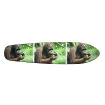 Orangutan Scratching Skateboard