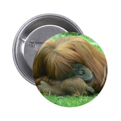 Orangutan Snoozing Button