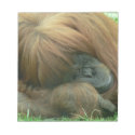 Orangutan Snoozing Notepad