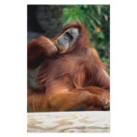orangutan stationery