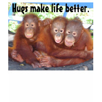 Orangutan T-shirt Hugs Make life better by Rebecca_Reeder Orangutan T-shirt Hugs Make life better