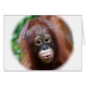 Orangutan Toddler cards by Rebecca_Reeder Orangutan Toddler cards