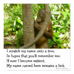 Orangutan Tribute Posters