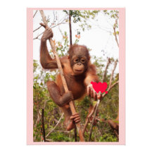 Orangutan Valentine Cards Custom Invites