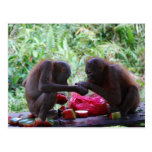Orangutan Watermelon PIcnic Postcard