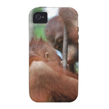 Orangutan Wildlife Kisses Vibe iPhone 4 Case