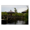 Orangutan Wildlife Welcoming Committee cards