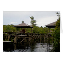 Orangutan Wildlife Welcoming Committee cards by Rebecca_Reeder Orangutan Wildlife Welcoming Committee cards