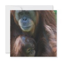 Orangutan with Baby Invitations
