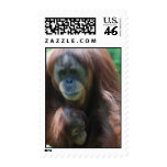 Orangutan with Baby Postage Stamp