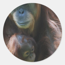Orangutan with Baby  Sticker