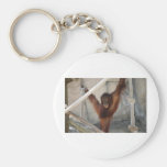 Orangutang Juvenile Playing Keychains