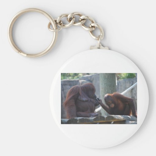 Orangutang Mother Kissing Juvenile's Hand Key Chains