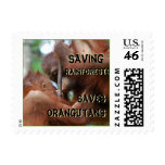 Orangutans and Rainforest Conservation stamps