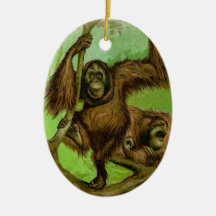 Orangutans in a Tree Vintage Natural History Christmas Ornament