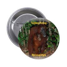 Orangutans in National Park Pins