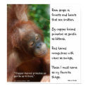 Orangutans My Favorite Things print