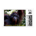 orangutans need the rainforest postage by claudiasmith orangutans need the rainforest postage
