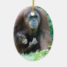Orangutans  Ornament