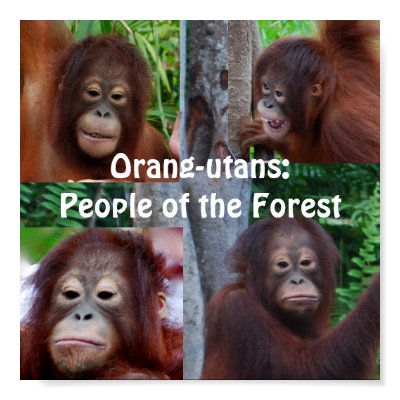 Orangutans Poster by Rebecca_Reeder
