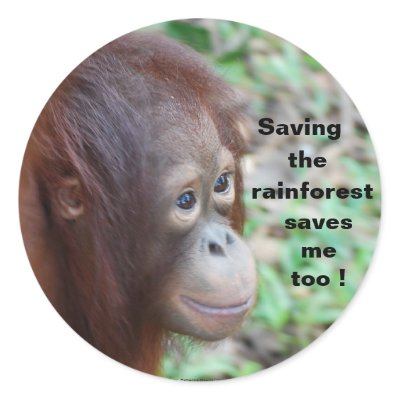 Orangutans: Save Life sticker by Rebecca_Reeder