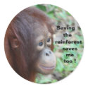 Orangutans: Save Life sticker