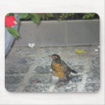 Orangy Bird Mousepad mousepads