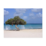 oranjestad postcard