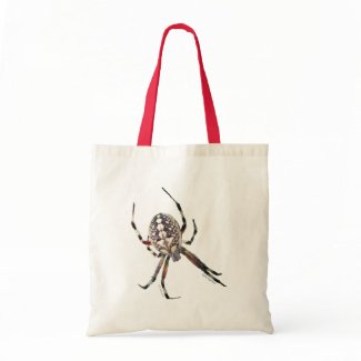 Orb Spider bag