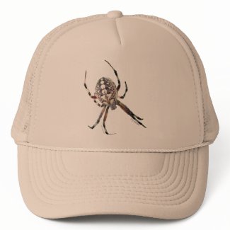 Orb Spider hat