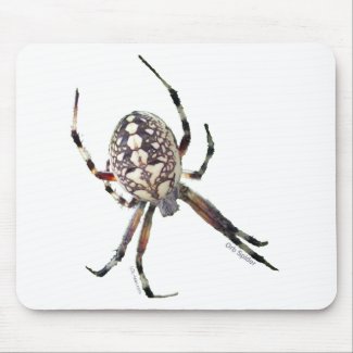 Orb Spider mousepad