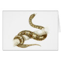 Orbigny - Boa Constrictor - Boa devin cards