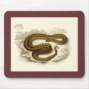 Orbigny - Elephant-trunk Snake mauspads